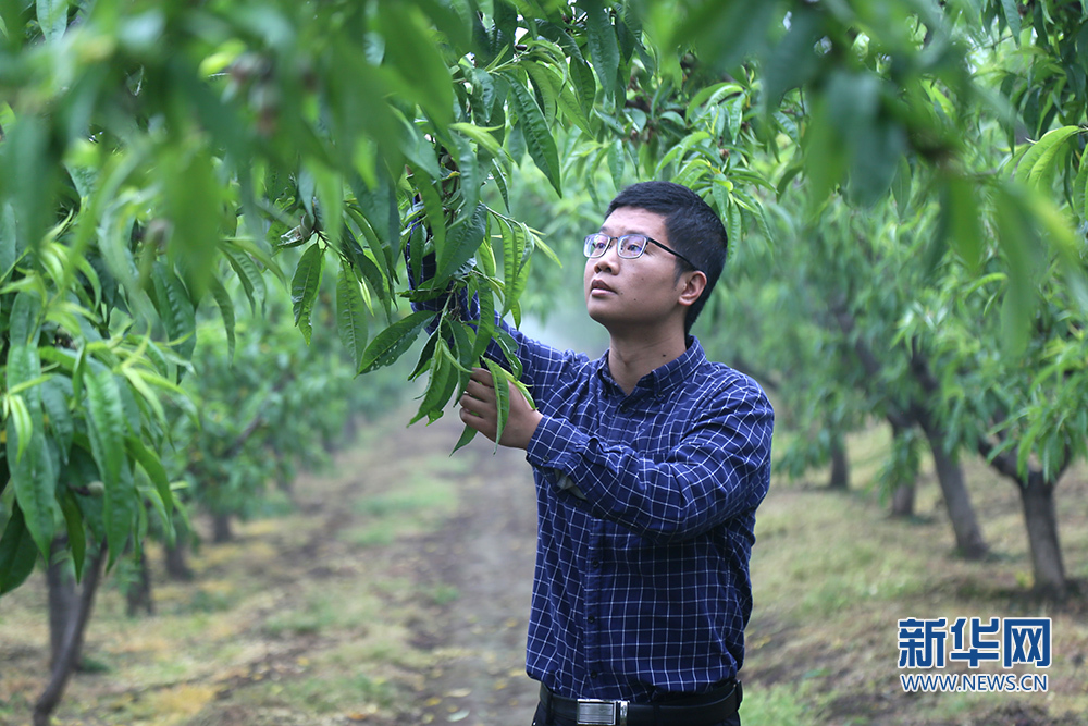 在基层中绽放青春梦想 完成时代使命